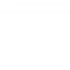 BASE LAVANTE 273 300ML