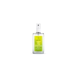 DEODORANTE SPR LIMONE 100ML