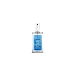 WELEDA ITALIA Srl DEODORANTE SPR SALVIA 100ML